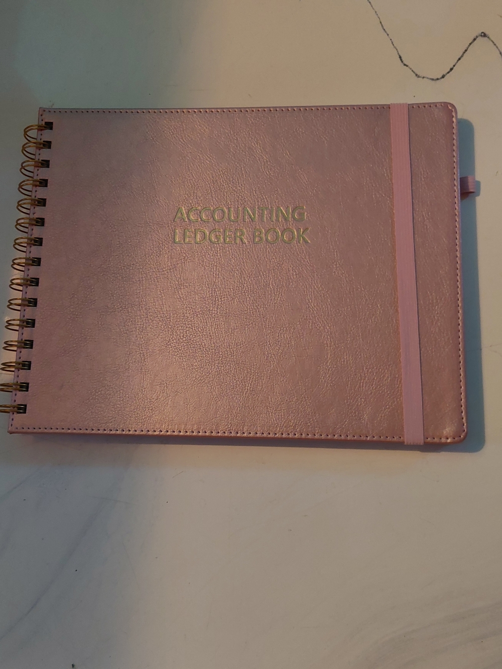 Pink Accounting Ledger Book with Gold Lettering